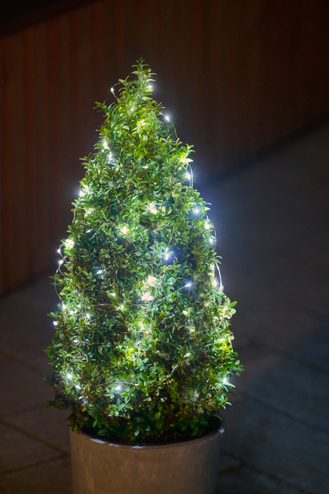 Lyskjede wire 150 micro-LED hvit 14,9 meter